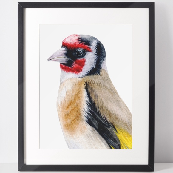 Watercolor Wall Art Goldfinch Bird Illustration Print Poster Unframed - Picture 2 of 9